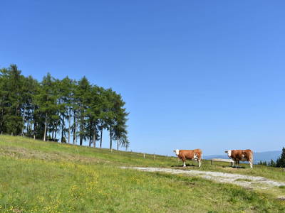 Bild 19 aus  Ebnerhütte