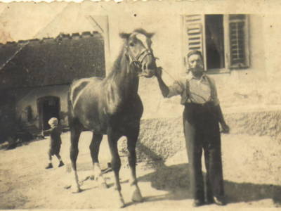 Bild 49 aus  Buchgrabenhof