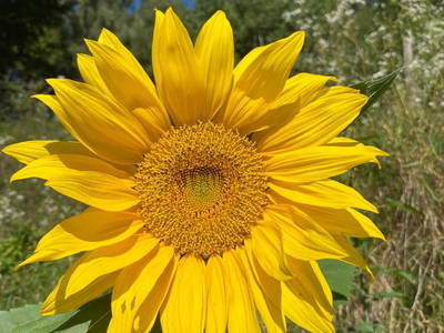 Bild 41 aus  Kreinzhuabn