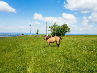 Bild 23 aus  Hochhubergut