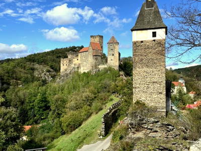 Bild 69 aus  Ferienhaus Weinviertel