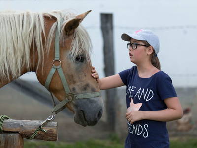 Bild 216 aus  Erlebnisbauernhof Steinerhof in Kärnten