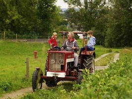 Bild 21 aus  Hof Kaltofen