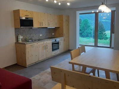 Bild 39 aus  Freihof  Fam. Tillian