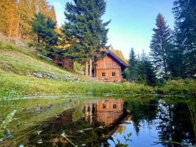 Bild 3 aus  Königsreiner  Hütte