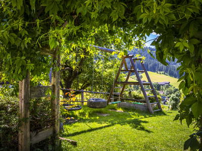 Bild 106 aus  Zauchtalerhof