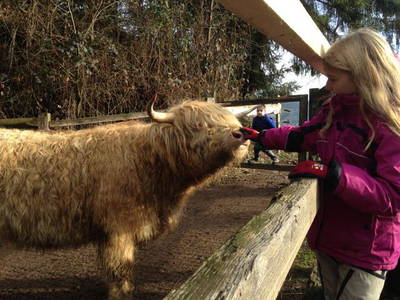 Bild 6 aus  Oberer Rechtgrabenhof