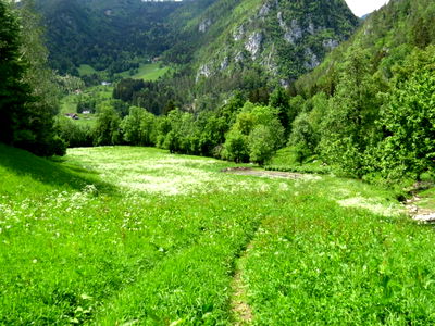 Bild 100 aus Arlitscherhof