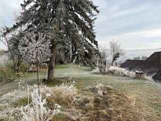 Bild 67 aus  Naturgartenurlaub - Steffis Ferienwohnungen