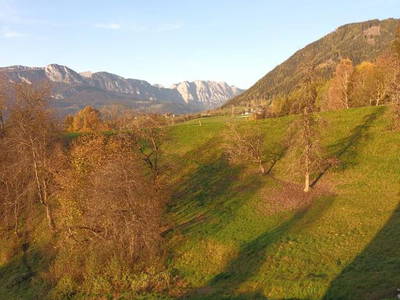 Bild 17 aus  Pferdehof Gugganig