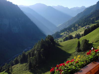 Bild 22 aus  Ferienwohnung Barbara