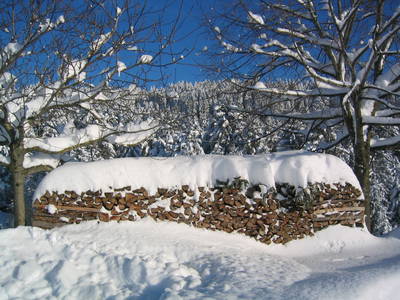 Bild 45 aus  Naturhof Innauer