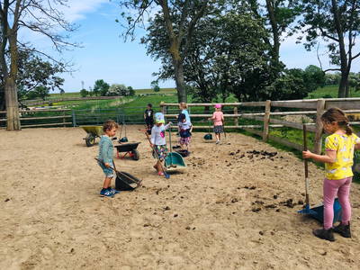 Bild 28 aus  Ferienhof Presener Deichkrone