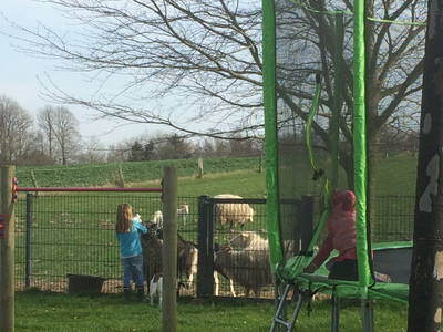 Bild 14 aus  OstseeBauernhof Schönhagen