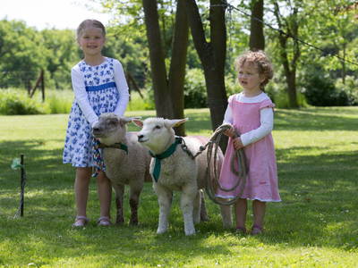 Bild 14 aus  Gut Friederikenhof