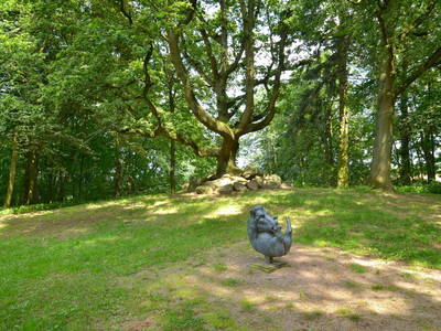 Bild 12 aus  Schlossferienwohnung 2