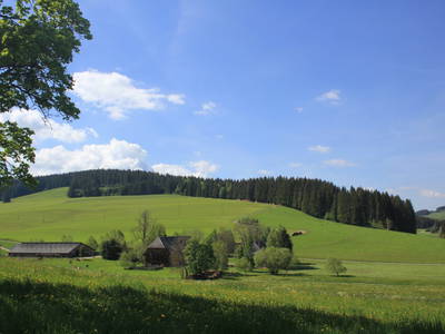 Blick vom Waldrand auf den Griesbachhof mit Stallgbäude