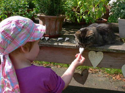 Bild 21 aus  Gut Waldhof