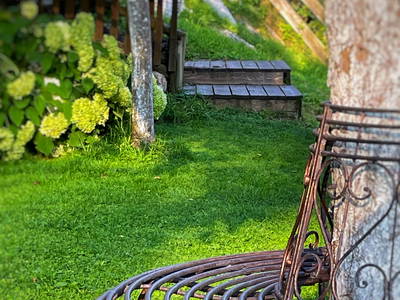 Bild 44 aus  Martenhof