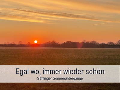 Bild 37 aus  Meine Schule Sehlingen