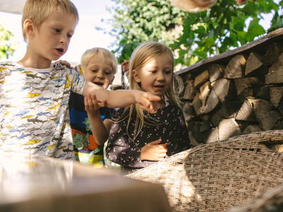 Bild 4 aus  Ferienhof Schwehr