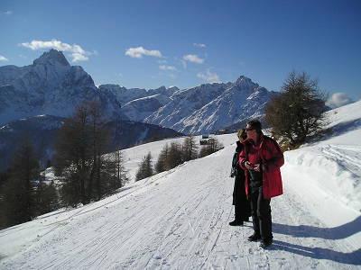 Bild 47 aus  Krösshof Rosen-Residenz