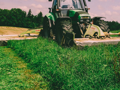 Bild 17 aus  Knödler Stadel