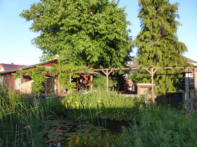 Bild 38 aus  Ferienhof Wolschendorf