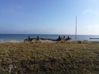 Bild 20 aus  OstseeBauernhof Schönhagen