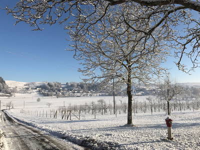 Bild 16 aus  Unterfrickhof