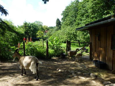 Bild 31 aus  Alte Schule Mechelsdorf - Idylle zw. Rerik und Kühlungsborn - 2,5 km zur Ostsee