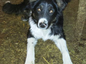 Bild 8 aus  Oberköbenhof