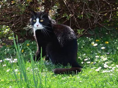 Bild 8 aus  Bengelhof