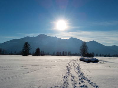Bild 30 aus  Aparthotel Alpenpark