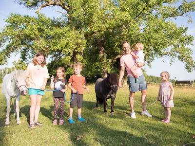 Pferde in den Stall führen