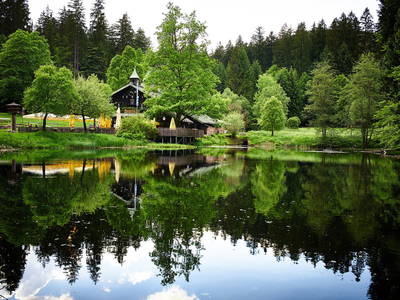 Bild 48 aus  Arber Lofts