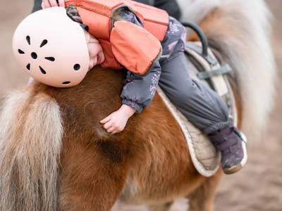 Bild 16 aus  Premium - Ferienhof Lunau