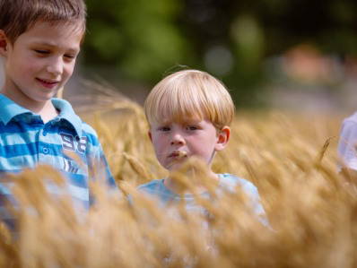 Bild 38 aus  Ferienhof Sonnengarten