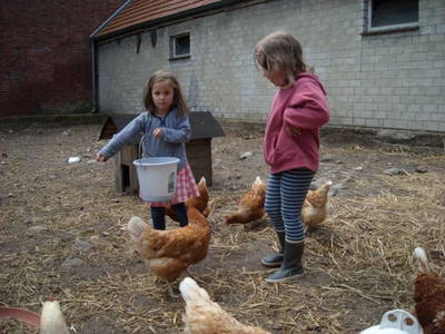 Bild 11 aus  Reiter- und Ferienhof Cohrs