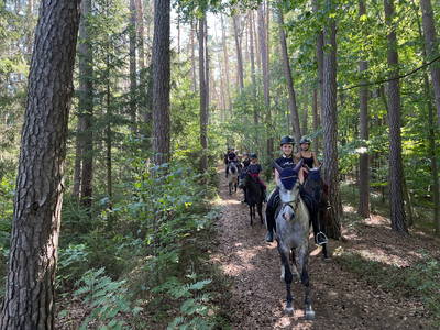 Bild 15 aus  Reitschule Fuchsenhof FN