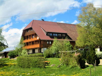 Bild 45 aus  Schweizermichelhof