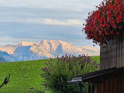 Bild 45 aus  Gmeinder's Landhaus