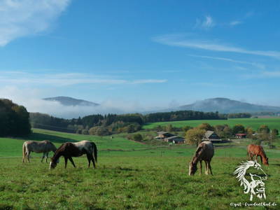 Bild 12 aus  Gut Friedenthal