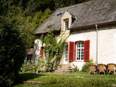 Bild 35 aus  Gut Neuwerk