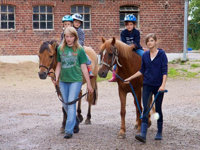 Bild 12 aus  Ferienhof Johannsen