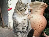 Bild 23 aus  Bachmannhof