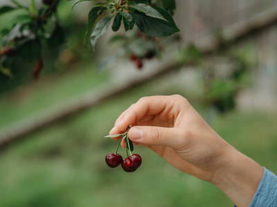 Bild 52 aus  LandSelection Bussjägerhof