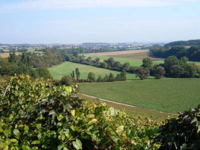 Bild 9 aus  Ferienhof Laurentius