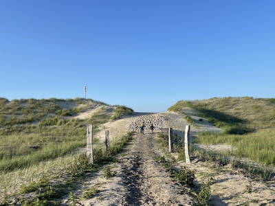 Bild 15 aus  Drei Tage am Meer