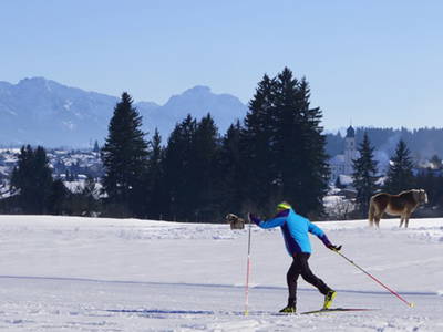 Bild 29 aus  Wagegger Hof